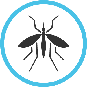 Mosquito image
