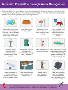 Mosquito at Home infographic