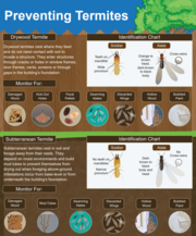 Choose IPM: Managing Termites