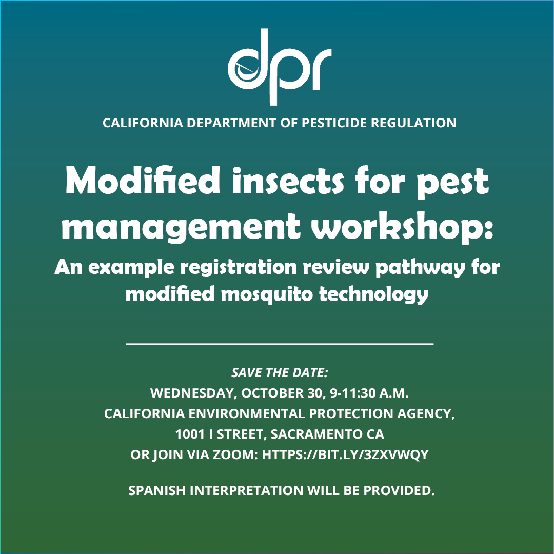modified insect workshop (eng)