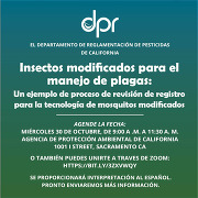 modified insect workshop (span)