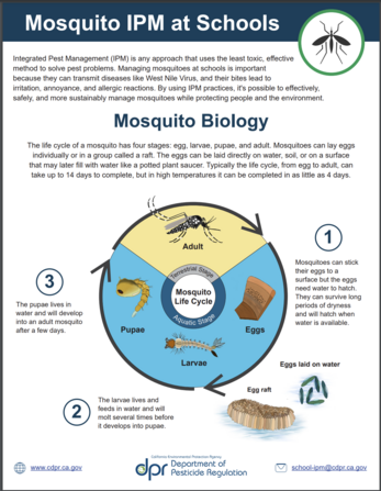 mosquito ipm for schools