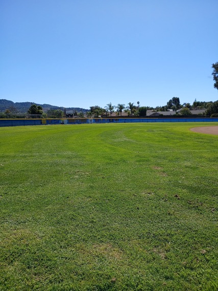 Field picture