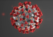 coronavirus image from CDC