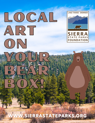 bear box art