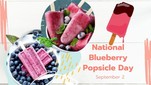 Blueberry popsicle