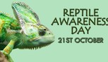 reptile awareness