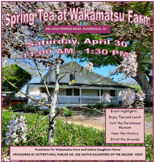 Spring Tea at Wakamatsu Farm (2)