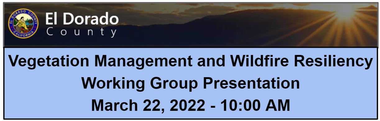 Wildfire working group