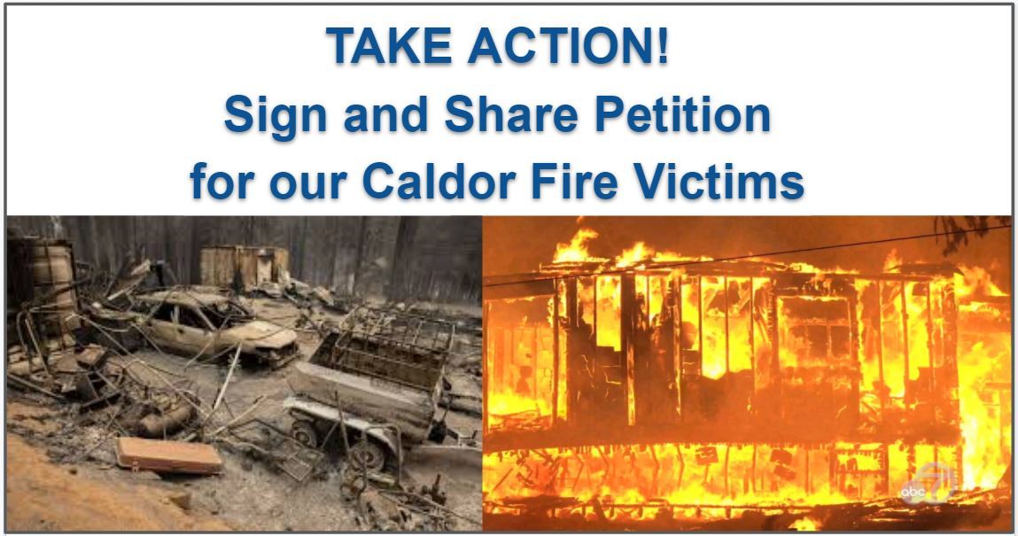 Caldor petition