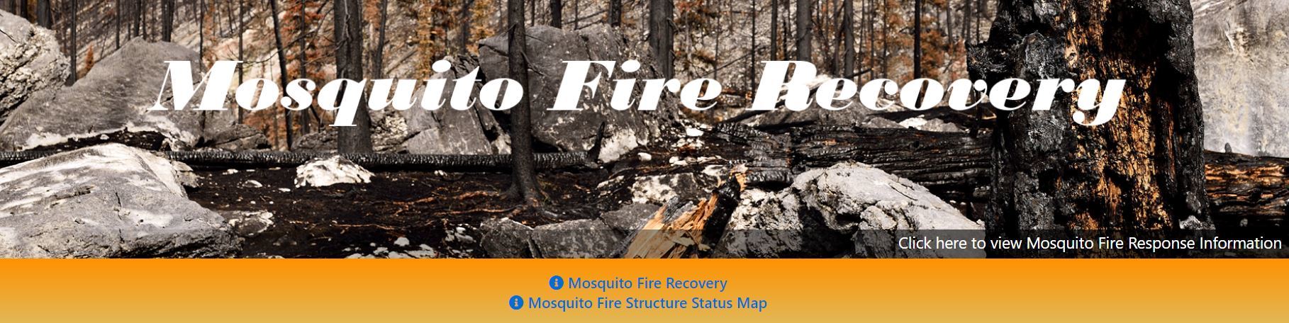 Mosquito Fire Recovery page