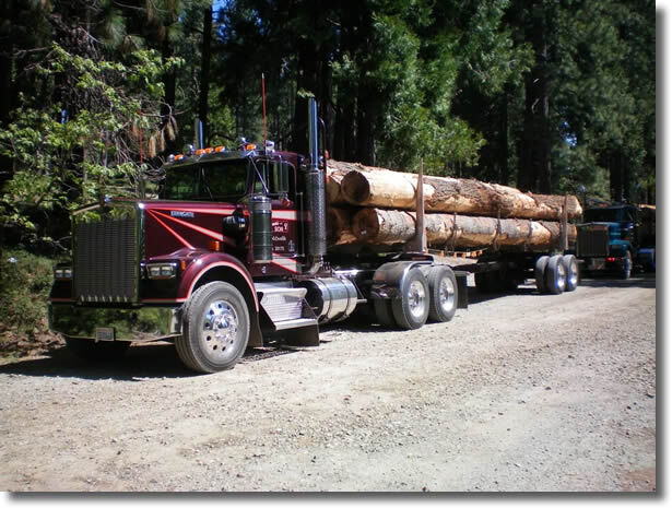 Logging Trucks