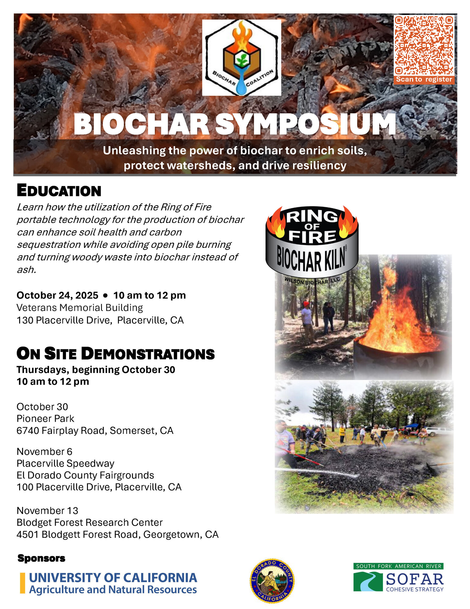 Biochar