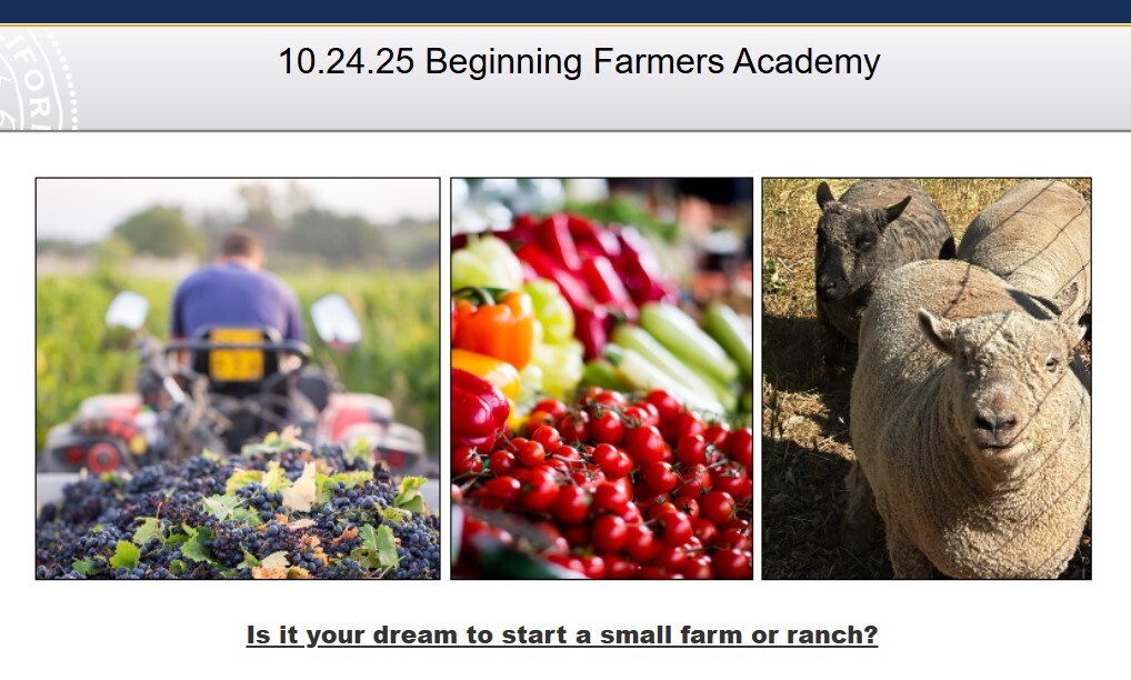 Farm class