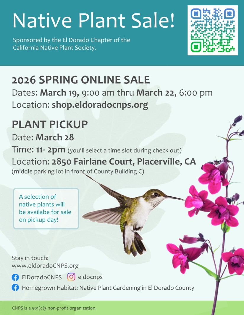 plant sale