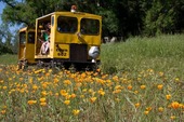 El Dorado Western Railroad