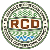RCD Logo