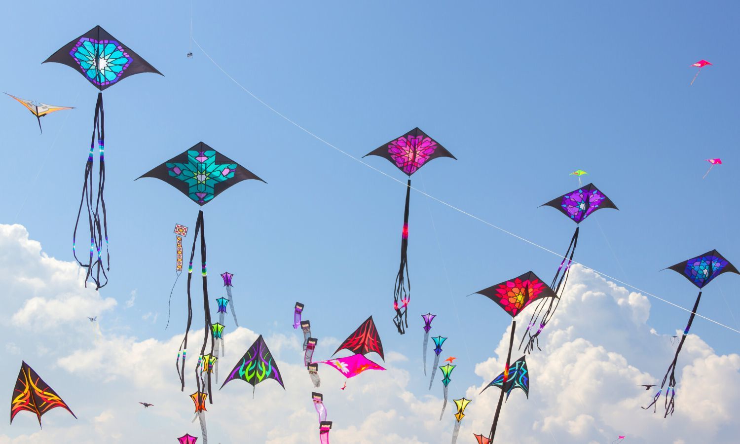 Fly Kite