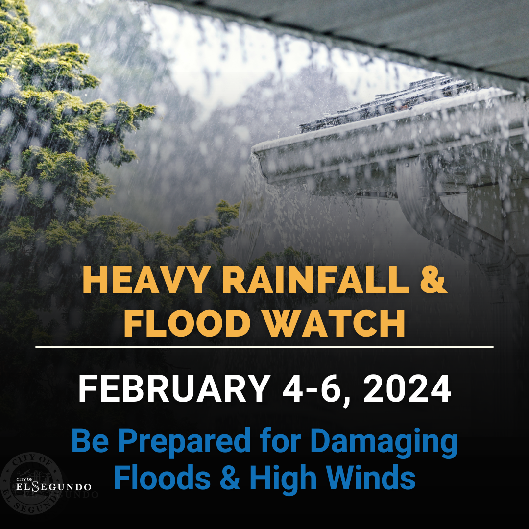 Excessive rain pouring on house and tree