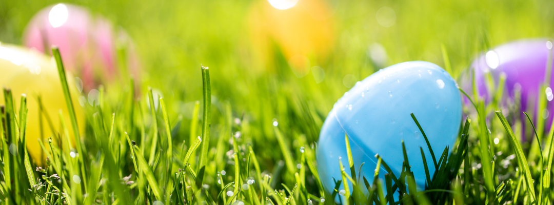 Plastic easter eggs in grass