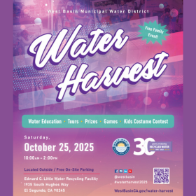 Harvest Festival 2025 