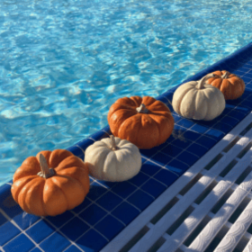 Pumpkin Pool 