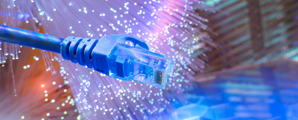 fiber optics and network cable