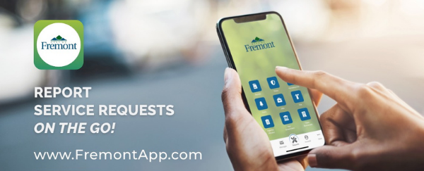 hands holding smart phone