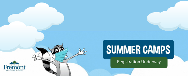 clouds, sky, racoon, sign