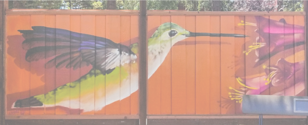 humming bird painted on fence