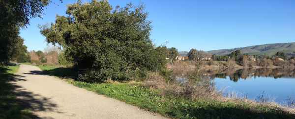 trail, lake, and trees