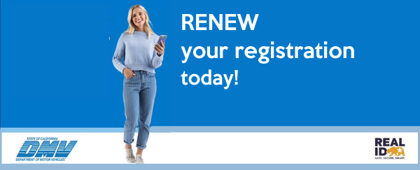 woman holding a mobile device