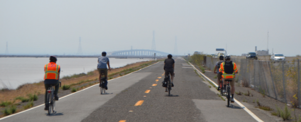 people riding bikes on roadway