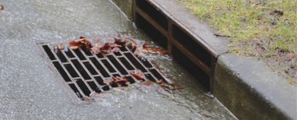 storm drain, gutter, and leaves