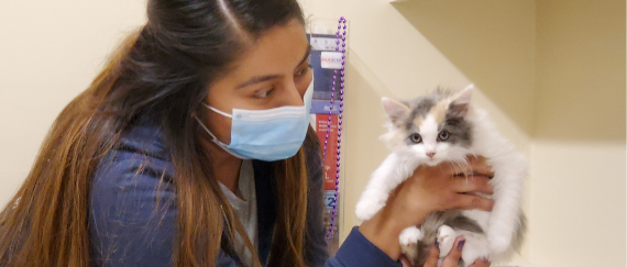 woman in mask holding kitten