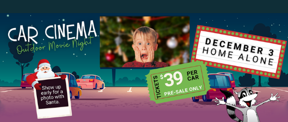 Santa, cars, racoon, Home Alone movie