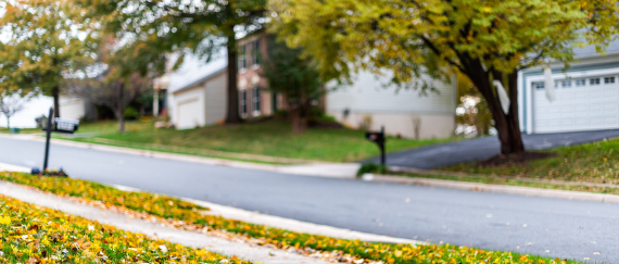 neighborhood with homes, street, trees, and sidewalks