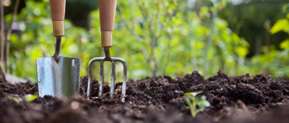 soil, shovel, trowel, greenery in background