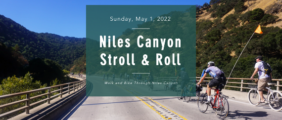 cyclists riding on roadway of Niles Canyon with hillside, bushes, and guardrail