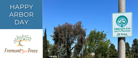 trees, Tree City USA sign noting 25 years 