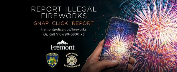 fireworks in sky and person holding a mobile device with fireworks on the screen