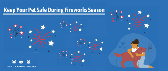 woman with dog and fireworks