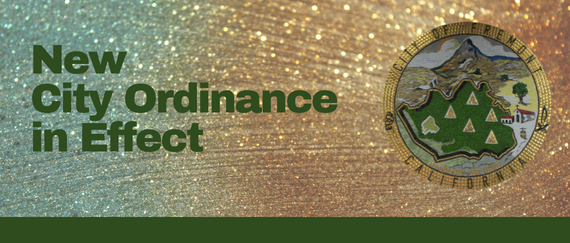 City Seal in mosaic tile in circle with granite background and New City Ordinance in Effect in text