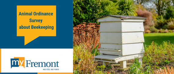 beekeeping equipment, conversation bubble, Animal Ordinance Survey about Beekeeping and MyFremont My City, My Voice in text
