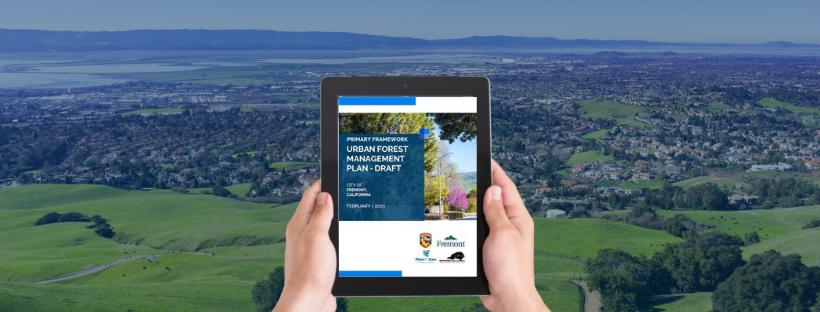 hands holding device with cover of Urban Forestry Master Plan displayed overlooking Fremont skyline from the hills