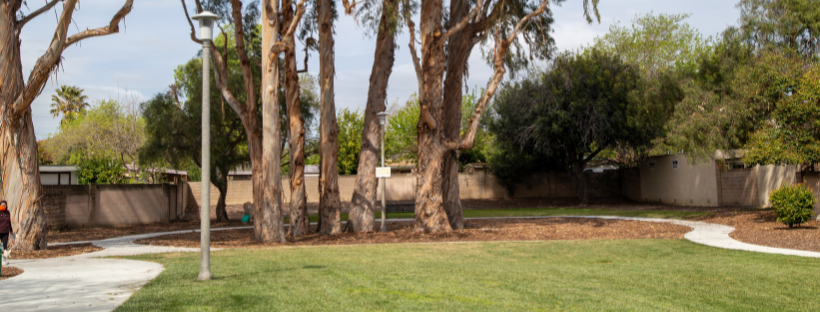 Plaza Park with trees, grass, and sidewalk pathways