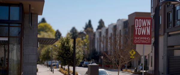 Downtown SHopping Banner