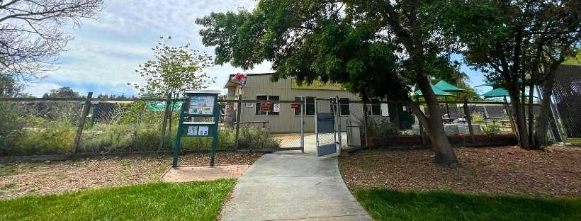 Open Garden Days Banner fCN