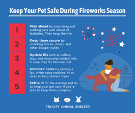 pet safety during 4th of July with fireworks