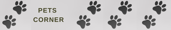 animal paws. In text: Pets Corner